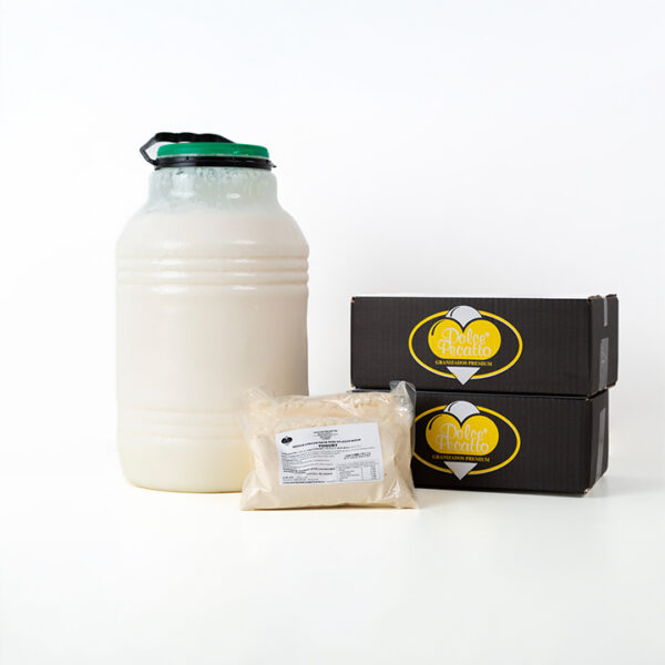 Concentrado yogurt Dolce Pecatto 02
